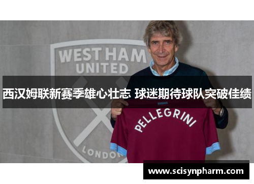 西汉姆联新赛季雄心壮志 球迷期待球队突破佳绩